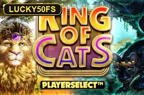 King Of Cats — слот Big Time Gaming